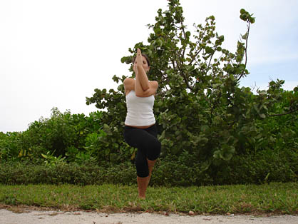 Yoga Pose: Eagle Pose | YogaClassPlan.com